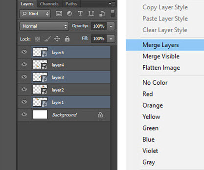 Layer