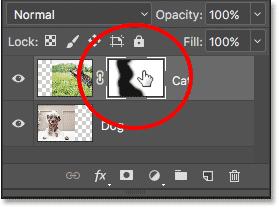 Mask Tool